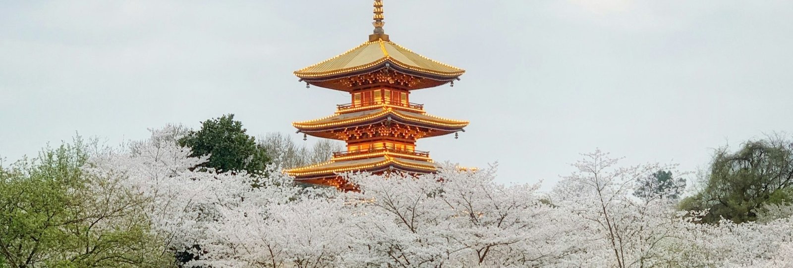 eastsun-wang-E8dZAUBn7Qc-unsplash_副本